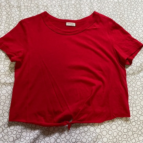 Aritzia Sunday Best Cropped T-Shirt - Picture 1 of 5